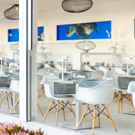 מלון Hovima Costa Adeje - For Cool Adults 4*